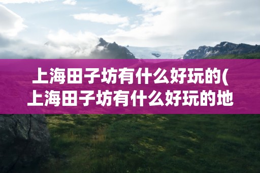 上海田子坊有什么好玩的(上海田子坊有什么好玩的地方)