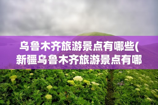 乌鲁木齐旅游景点有哪些(新疆乌鲁木齐旅游景点有哪些)