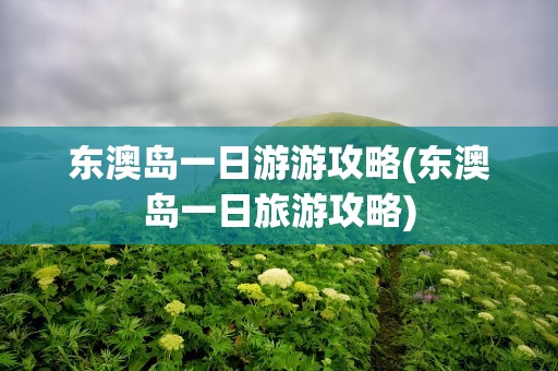 东澳岛一日游游攻略(东澳岛一日旅游攻略)