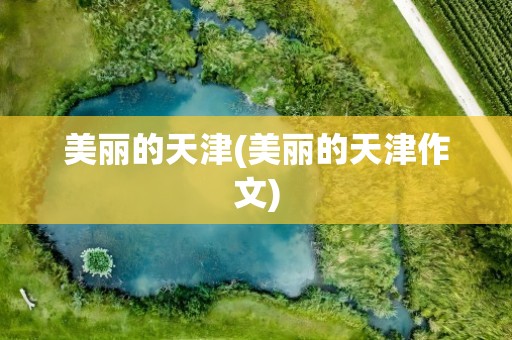 美丽的天津(美丽的天津作文)