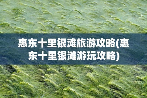 惠东十里银滩旅游攻略(惠东十里银滩游玩攻略)