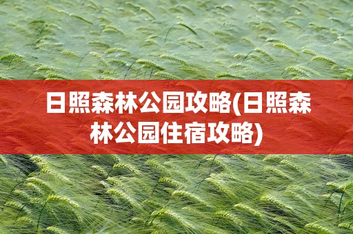 日照森林公园攻略(日照森林公园住宿攻略)