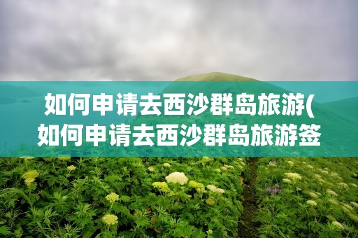 如何申请去西沙群岛旅游(如何申请去西沙群岛旅游签证)
