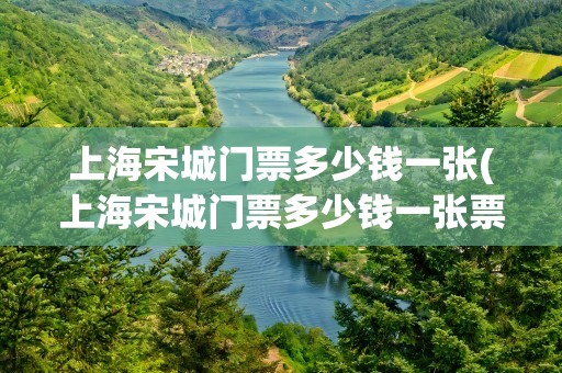 上海宋城门票多少钱一张(上海宋城门票多少钱一张票)