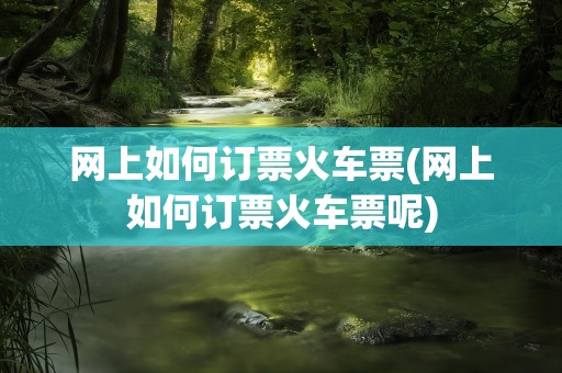 网上如何订票火车票(网上如何订票火车票呢)