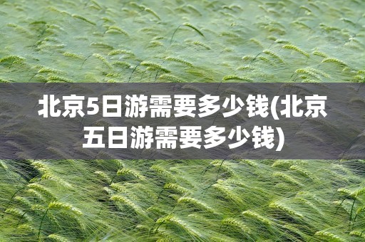 北京5日游需要多少钱(北京五日游需要多少钱)