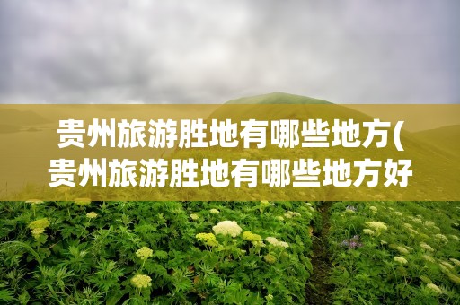 贵州旅游胜地有哪些地方(贵州旅游胜地有哪些地方好)
