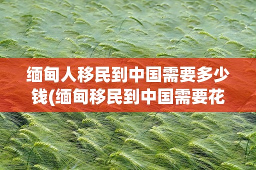 缅甸人移民到中国需要多少钱(缅甸移民到中国需要花多少钱)