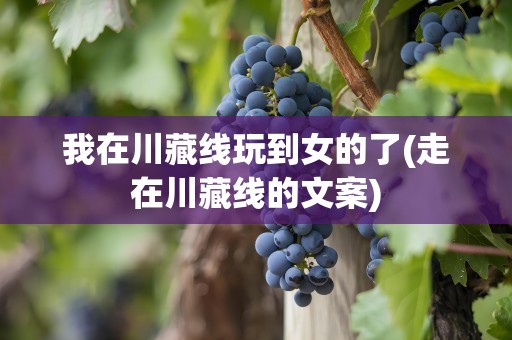我在川藏线玩到女的了(走在川藏线的文案)