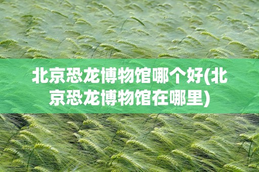 北京恐龙博物馆哪个好(北京恐龙博物馆在哪里)