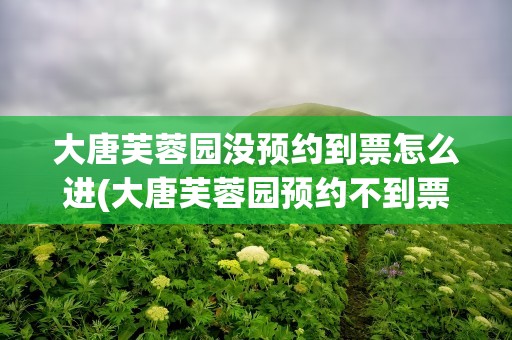 大唐芙蓉园没预约到票怎么进(大唐芙蓉园预约不到票怎么办)