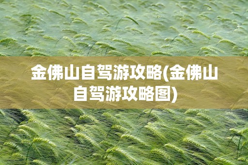 金佛山自驾游攻略(金佛山自驾游攻略图)