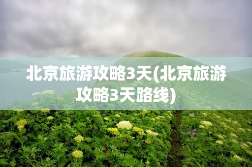 北京旅游攻略3天(北京旅游攻略3天路线)
