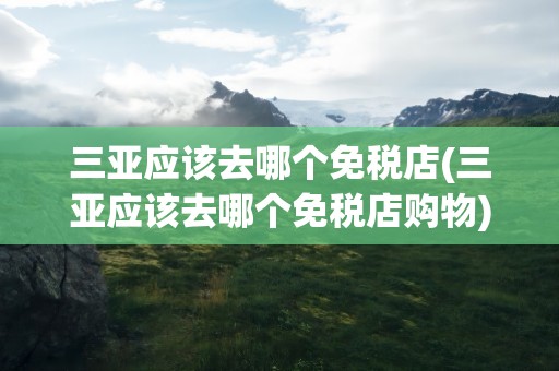 三亚应该去哪个免税店(三亚应该去哪个免税店购物)