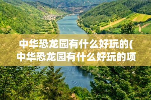 中华恐龙园有什么好玩的(中华恐龙园有什么好玩的项目)