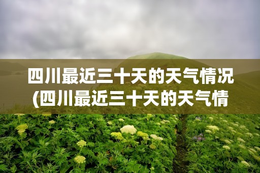 四川最近三十天的天气情况(四川最近三十天的天气情况表)