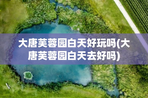 大唐芙蓉园白天好玩吗(大唐芙蓉园白天去好吗)