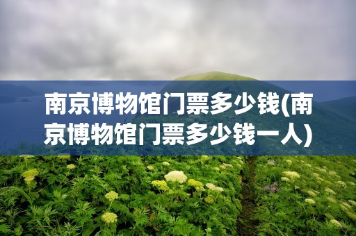 南京博物馆门票多少钱(南京博物馆门票多少钱一人)