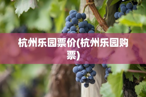 杭州乐园票价(杭州乐园购票)
