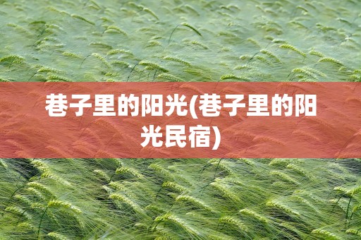 巷子里的阳光(巷子里的阳光民宿)