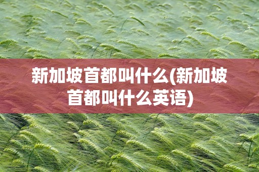 新加坡首都叫什么(新加坡首都叫什么英语)