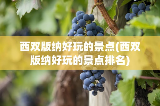 西双版纳好玩的景点(西双版纳好玩的景点排名)