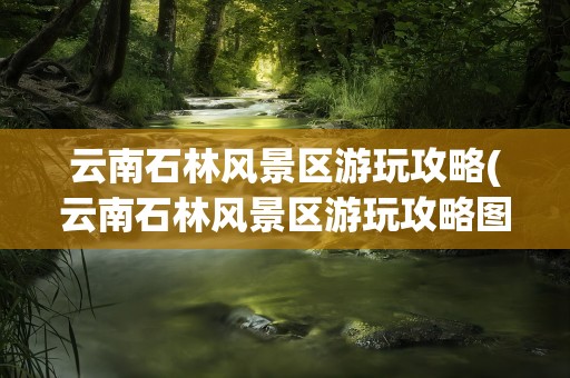 云南石林风景区游玩攻略(云南石林风景区游玩攻略图)