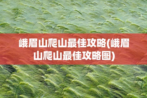 峨眉山爬山最佳攻略(峨眉山爬山最佳攻略图)