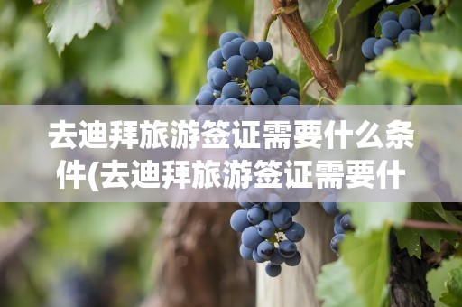 去迪拜旅游签证需要什么条件(去迪拜旅游签证需要什么条件和手续)