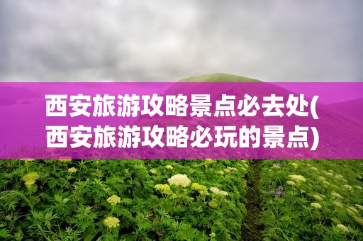 西安旅游攻略景点必去处(西安旅游攻略必玩的景点)