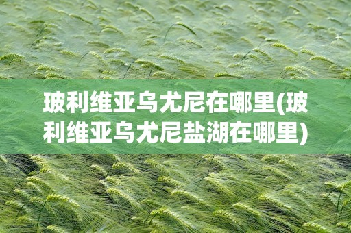 玻利维亚乌尤尼在哪里(玻利维亚乌尤尼盐湖在哪里)