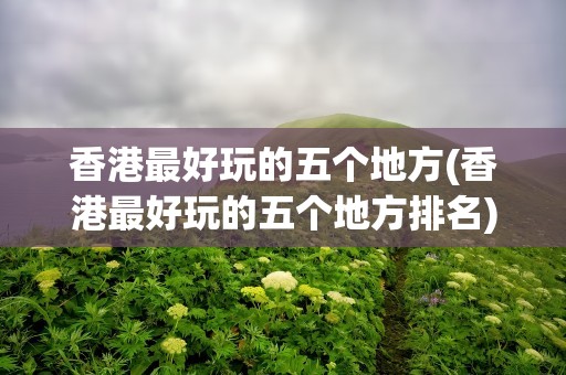 香港最好玩的五个地方(香港最好玩的五个地方排名)