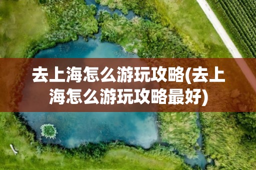 去上海怎么游玩攻略(去上海怎么游玩攻略最好)
