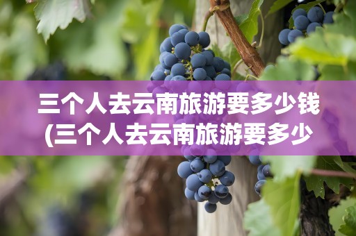 三个人去云南旅游要多少钱(三个人去云南旅游要多少钱一天)