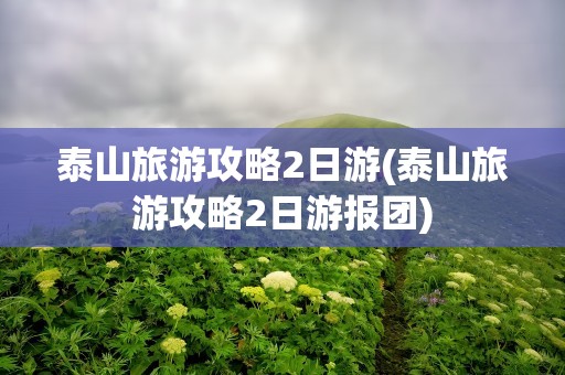 泰山旅游攻略2日游(泰山旅游攻略2日游报团)