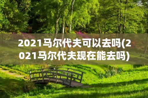 2021马尔代夫可以去吗(2021马尔代夫现在能去吗)