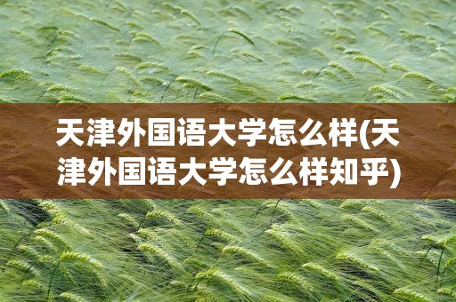 天津外国语大学怎么样(天津外国语大学怎么样知乎)