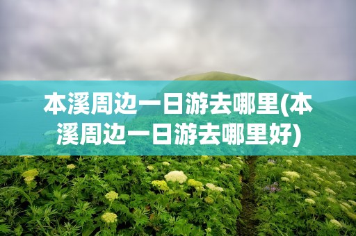 本溪周边一日游去哪里(本溪周边一日游去哪里好)