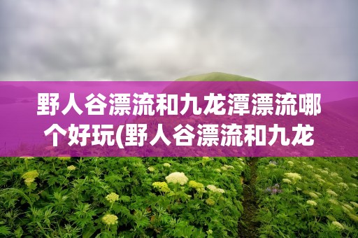 野人谷漂流和九龙潭漂流哪个好玩(野人谷漂流和九龙潭漂流哪个好玩些)