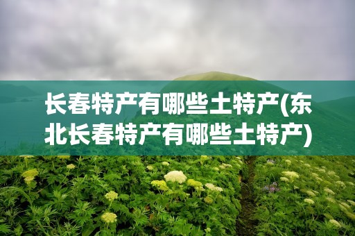 长春特产有哪些土特产(东北长春特产有哪些土特产)