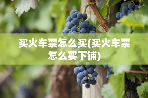 买火车票怎么买(买火车票怎么买下铺)