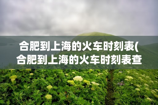 合肥到上海的火车时刻表(合肥到上海的火车时刻表查询)