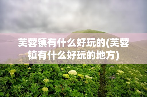芙蓉镇有什么好玩的(芙蓉镇有什么好玩的地方)