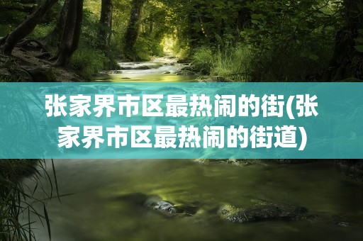 张家界市区最热闹的街(张家界市区最热闹的街道)