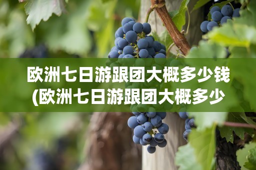欧洲七日游跟团大概多少钱(欧洲七日游跟团大概多少钱啊)