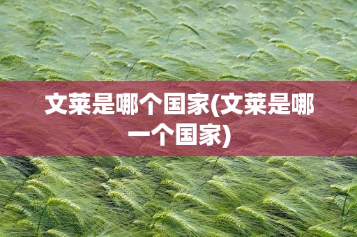 文莱是哪个国家(文莱是哪一个国家)
