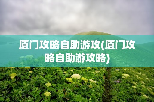 厦门攻略自助游攻(厦门攻略自助游攻略)