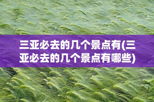 三亚必去的几个景点有(三亚必去的几个景点有哪些)