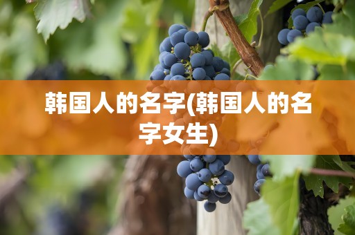 韩国人的名字(韩国人的名字女生)