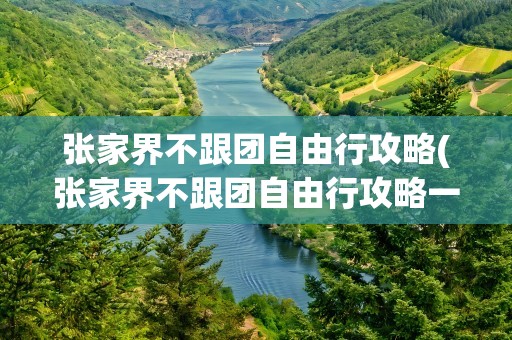 张家界不跟团自由行攻略(张家界不跟团自由行攻略一天)